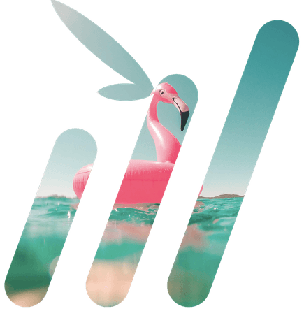 Bamboo Video Thumbnail